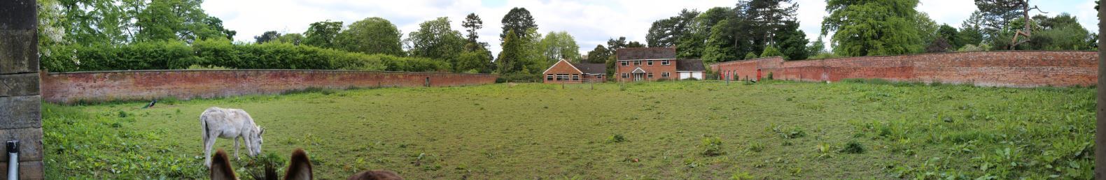 Paddock Johnson - Paddock Johnson